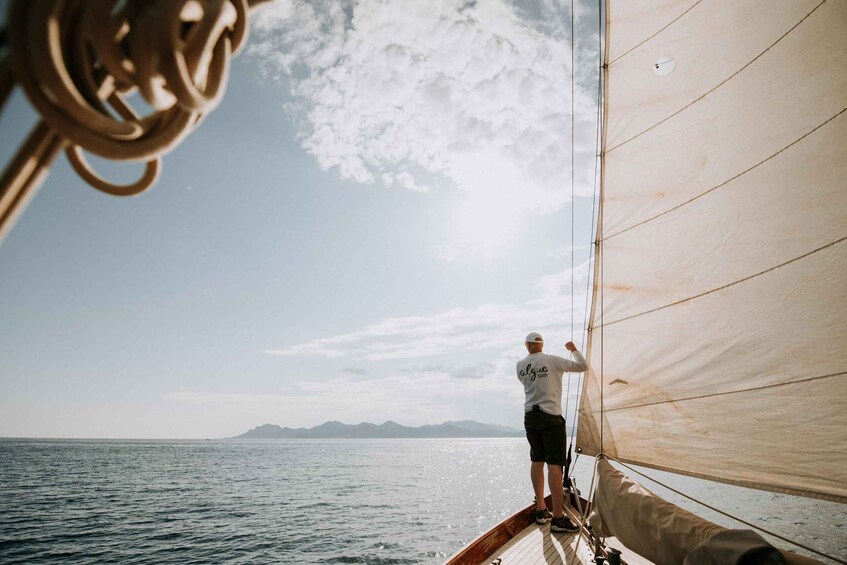 Picture 16 for Activity Classic Yacht Sailing in Cannes