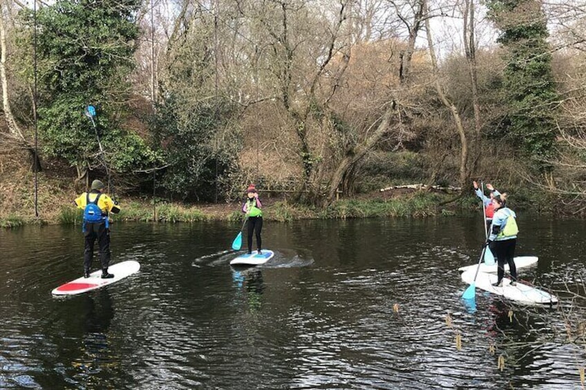 Half day Paddleboarding exploration on the Dart