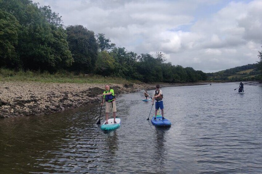 Half day Paddleboarding exploration on the Dart