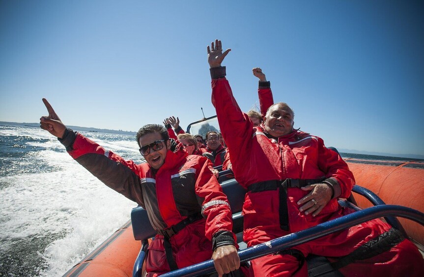 Picture 2 for Activity Vancouver: Howe Sound Fjords, Sea Caves & Wildlife Boat Tour