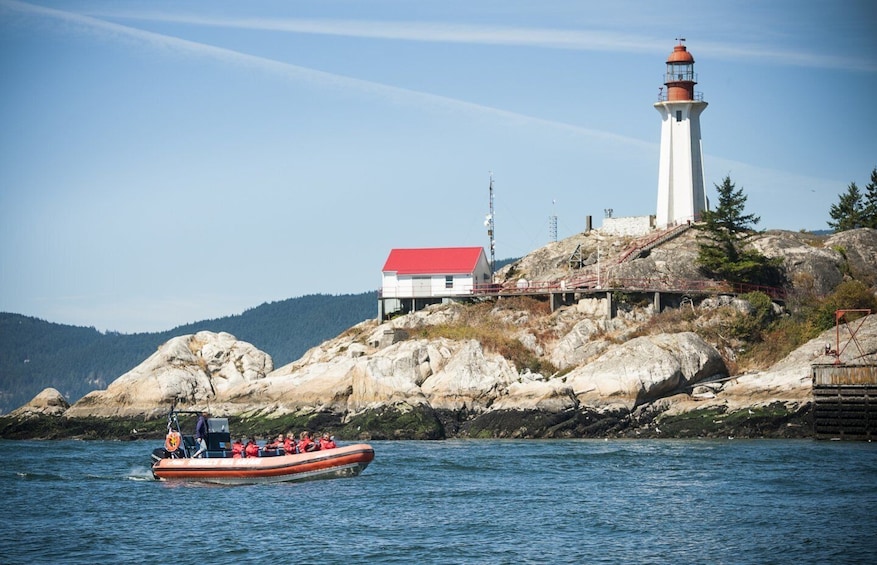 Picture 3 for Activity Vancouver: Howe Sound Fjords, Sea Caves & Wildlife Boat Tour