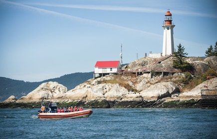 Vancouver: Howe Sound Fjords, Sea Caves & Wildlife Boat Tour