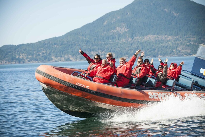 Picture 4 for Activity Vancouver: Howe Sound Fjords, Sea Caves & Wildlife Boat Tour