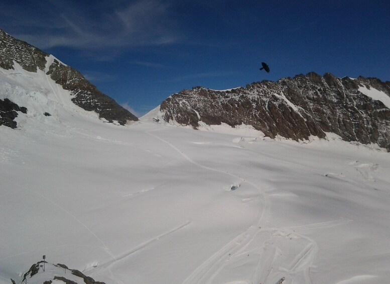 Picture 5 for Activity Alpine Heights: Small Group Tour to Jungfraujoch from Bern