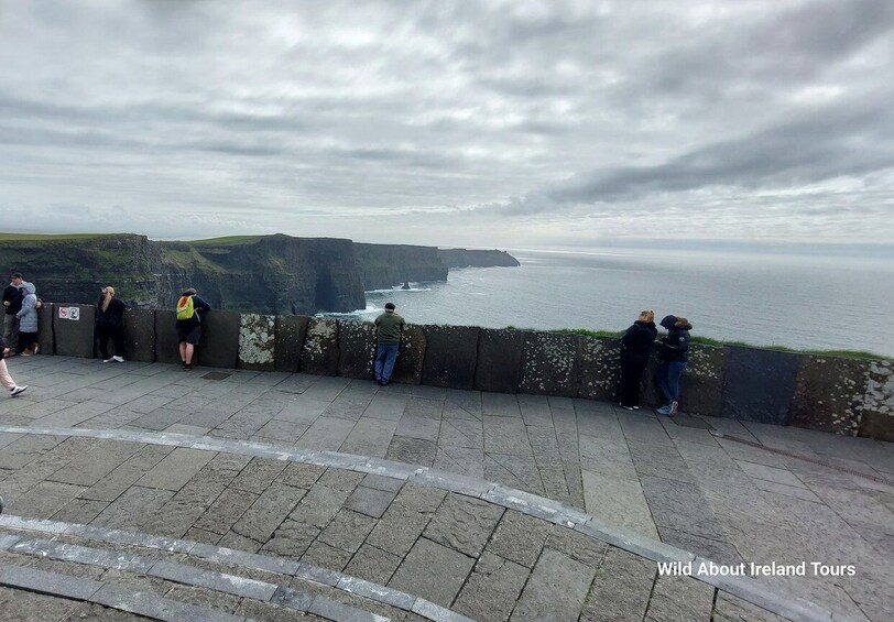 Picture 3 for Activity Cliffs of Moher and National Park Private Limousine Tour