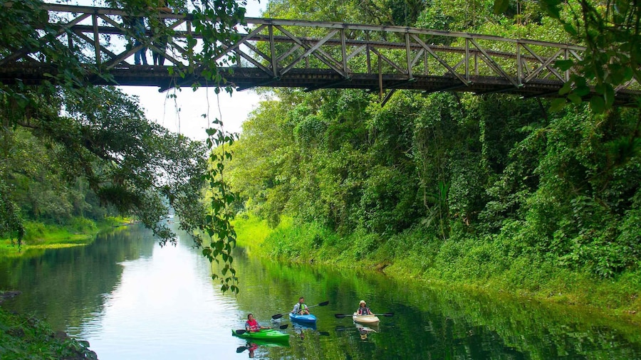 San Pedro Sula: Yojoa Lake, Waterfall, & Kayak Day Trip