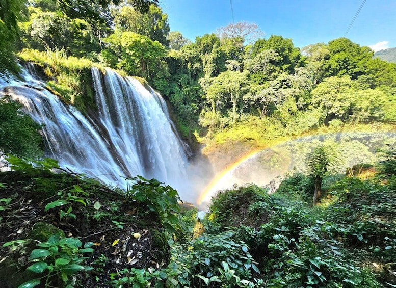 Picture 31 for Activity From San Pedro Sula: Yojoa Lake Day Trip