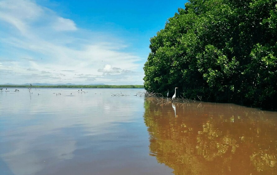 Picture 2 for Activity Huatulco: Laguna de Chacahua Exploration