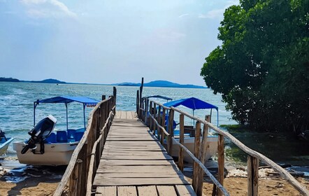 Huatulco: Erkundung der Laguna de Chacahua