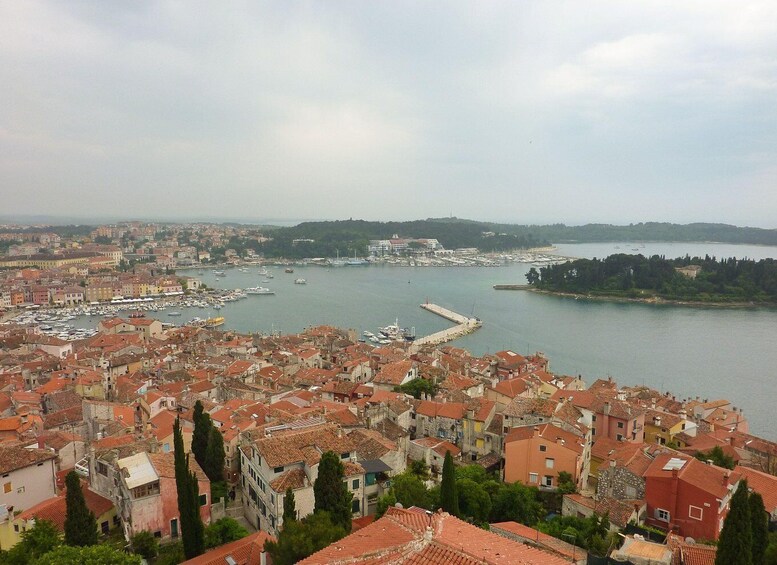 Picture 4 for Activity Rovinj: Private Walking Tour