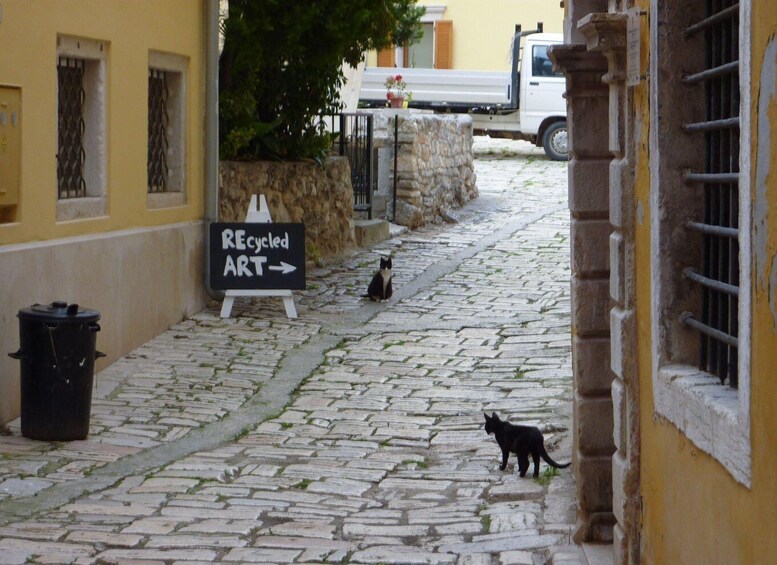 Picture 3 for Activity Rovinj: Private Walking Tour