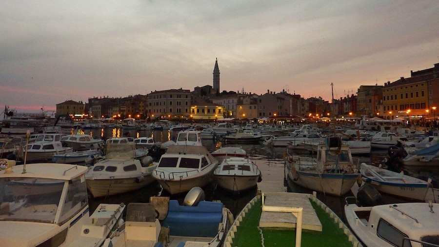 Rovinj: Private Walking Tour