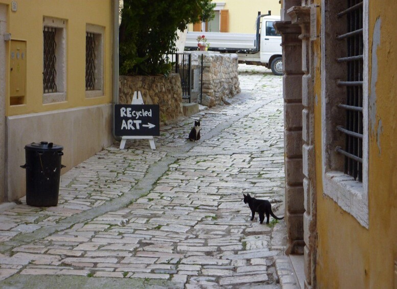 Picture 3 for Activity Rovinj: Private Walking Tour