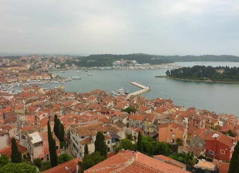 Picture 4 for Activity Rovinj: Private Walking Tour