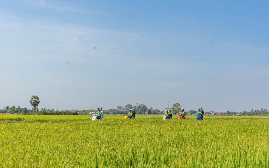 Picture 8 for Activity Siem Reap: Sunset Guided Vespa Tour & Local Villages