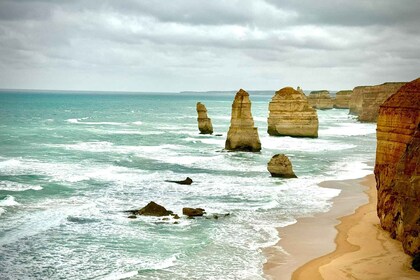 Small Group Great Ocean Road & Wildlife spotting With Lunch