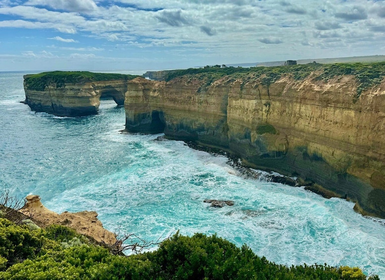 Picture 8 for Activity Small Group Great Ocean Road & Wildlife spotting With Lunch