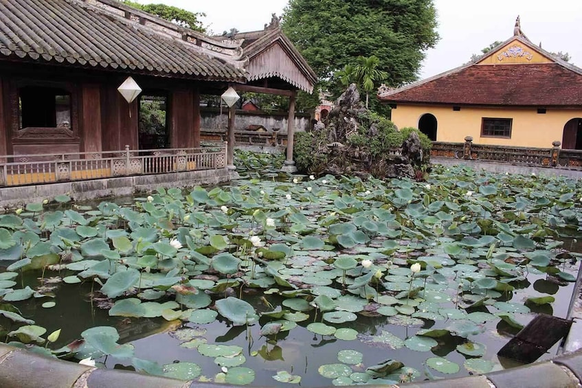 Picture 6 for Activity Hue Walking Tour to Imperial Citadel and Forbidden City