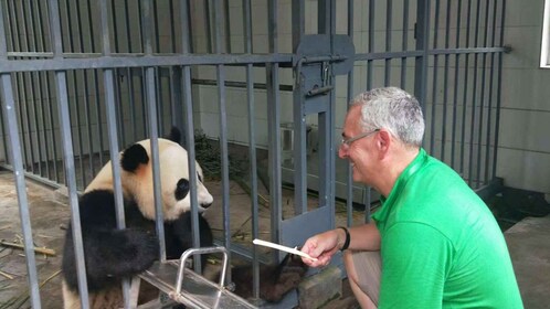 All-inclusive Wolong or Dujiangyan Panda Base Volunteering