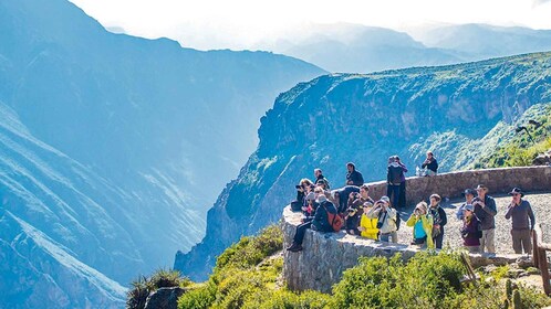 Fra Arequipa: Colca Canyon Tour 1 dag og transfer til Puno