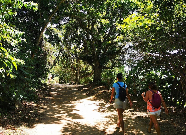 Picture 8 for Activity Ilha Grande: Private Historic Walking Tour with Natural Pool