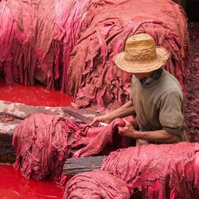 Fez Medina Exploration Guided Walking Tour through History