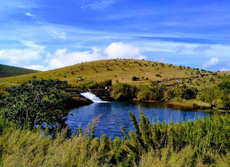 Picture 14 for Activity Visit Horton plains and Nuwara Eliya from Ella