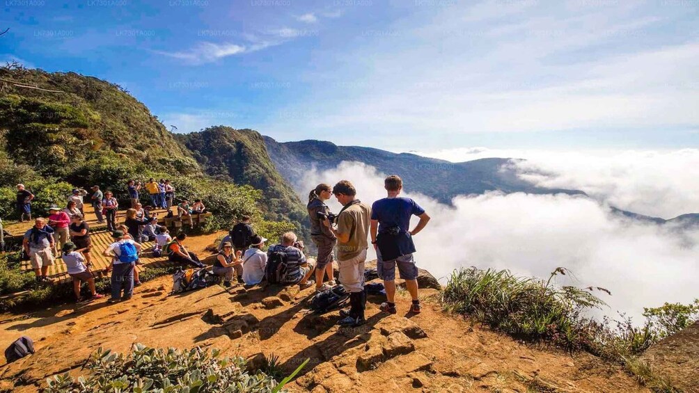 Visit Horton plains and Nuwara Eliya from Ella