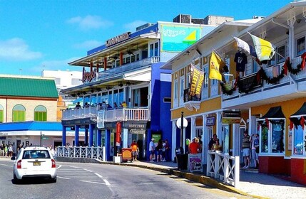 From George Town: Grand Cayman East Island Tour