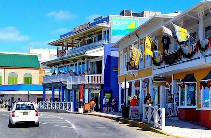 From George Town: Grand Cayman East Island Tour