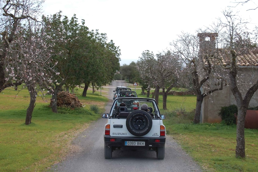 Picture 2 for Activity Mallorca: Beach and Mountain 4X4 Tour