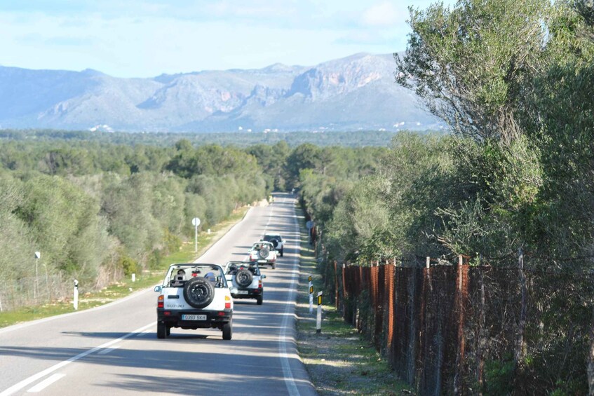 Picture 6 for Activity Mallorca: Beach and Mountain 4X4 Tour