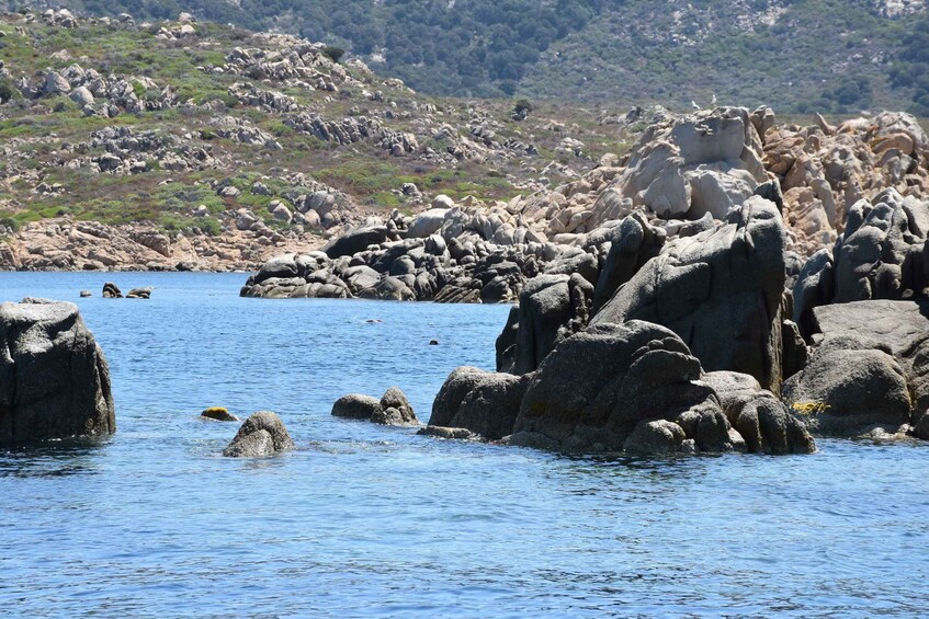 Picture 13 for Activity From Chia: Boat Ride to Cala Zafferano with Snorkeling