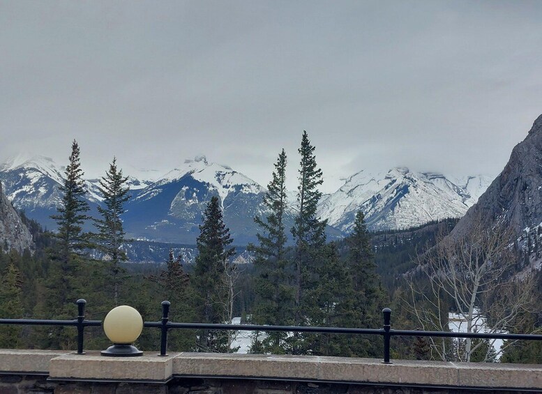 Picture 4 for Activity Banff: A Private Day Trip - Highlights Tour