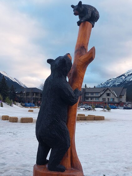 Picture 6 for Activity Banff: A Private Day Trip - Highlights Tour