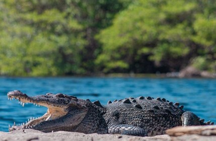 Huatulco: Ventanilla, Zipolite, Mazunte ja Puerto Angel Tour -retki