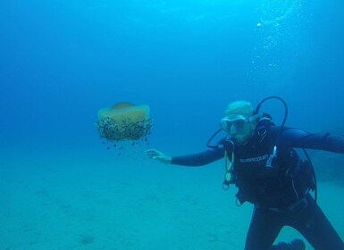 Lloret de Mar: Scuba Diving Experience no License Required