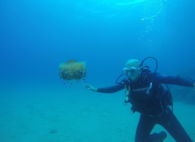 Lloret de Mar: Scuba Diving Experience no License Required