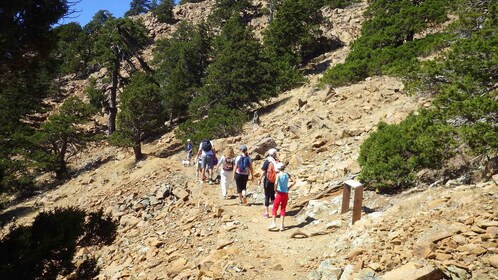 Randonnée dans les Troodos