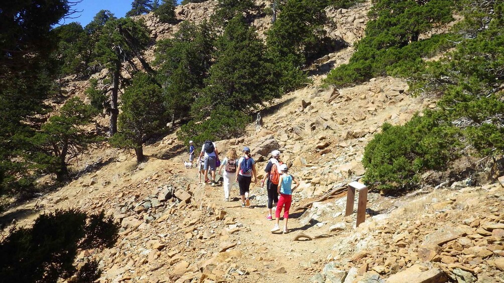 Troodos walking trip