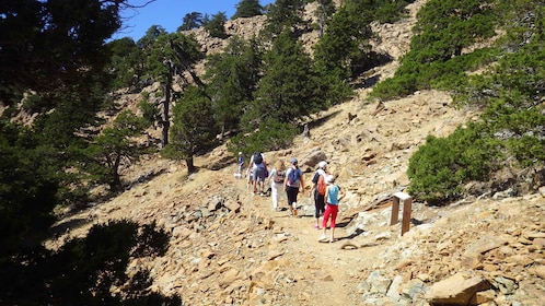 Troodos walking trip