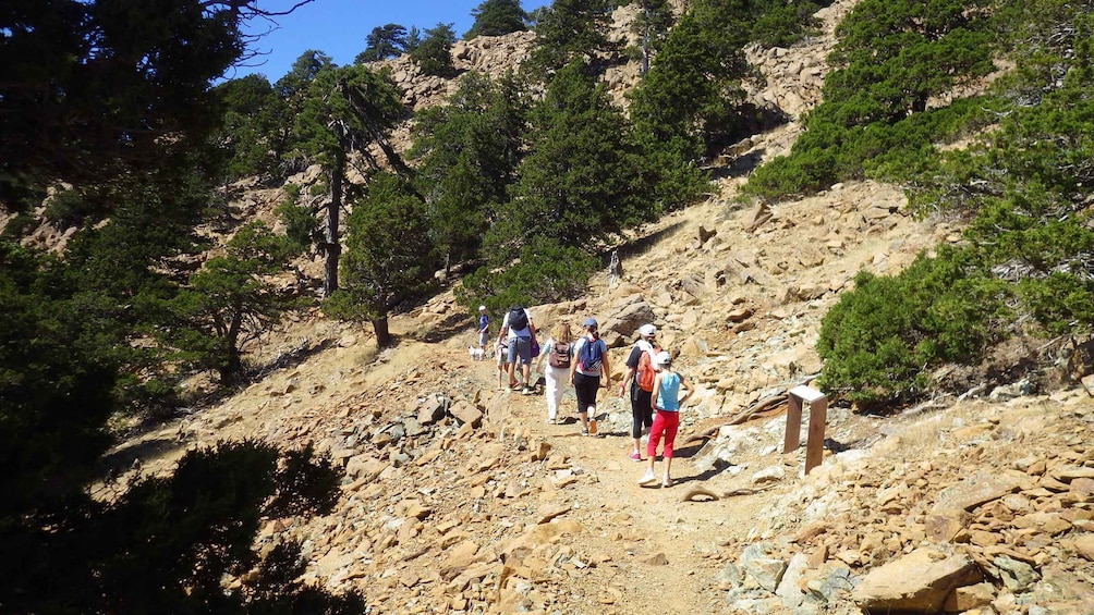 Troodos walking trip