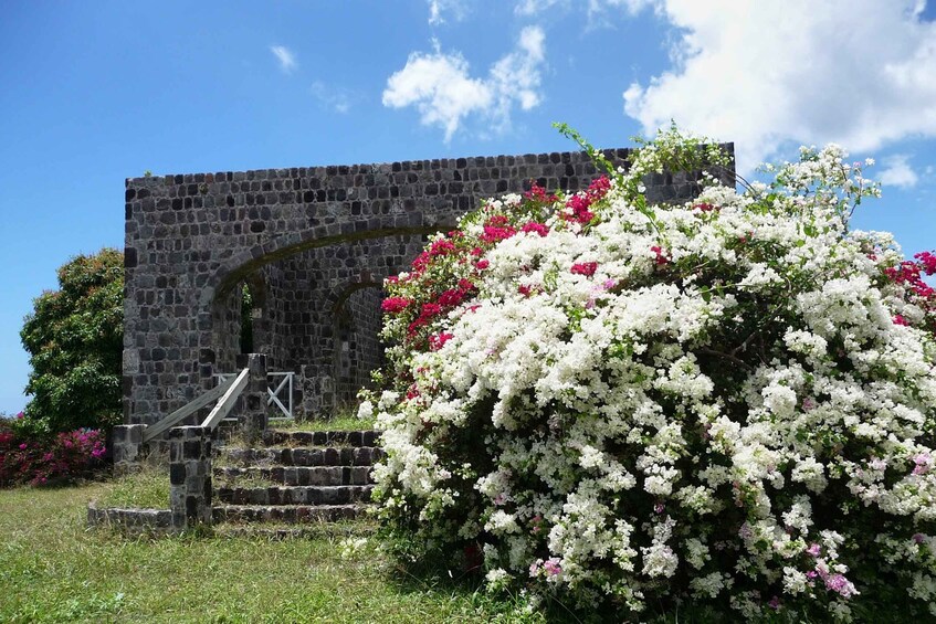 Picture 1 for Activity St. Kitts: Top Sights Guided Van or Open-Air Safari Tour