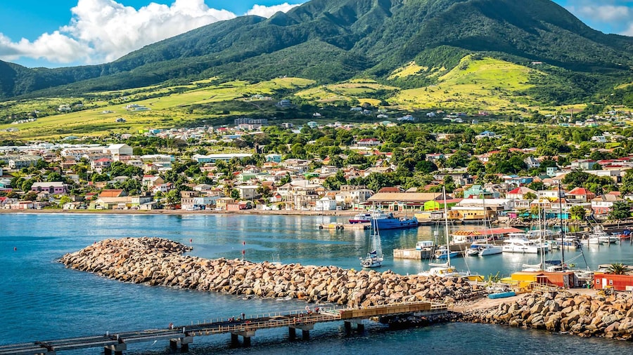 St. Kitts: Top Sights Guided Van or Open-Air Safari Tour