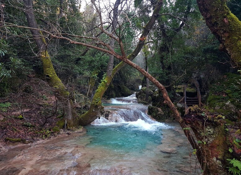 Picture 3 for Activity Marmaris Jeep Safari: Full-Day Guided Tour with Lunch