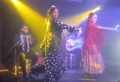 Barcelona: Pertunjukan Flamenco Eksklusif di El Paraigua dengan Minuman