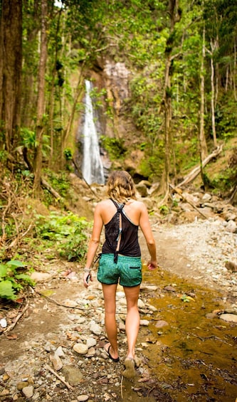 Picture 3 for Activity Dominica Hiking Adventures