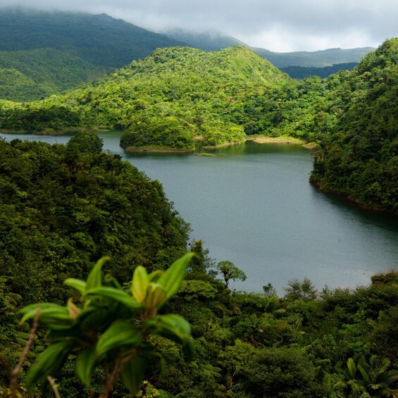 Picture 10 for Activity Dominica Hiking Adventures