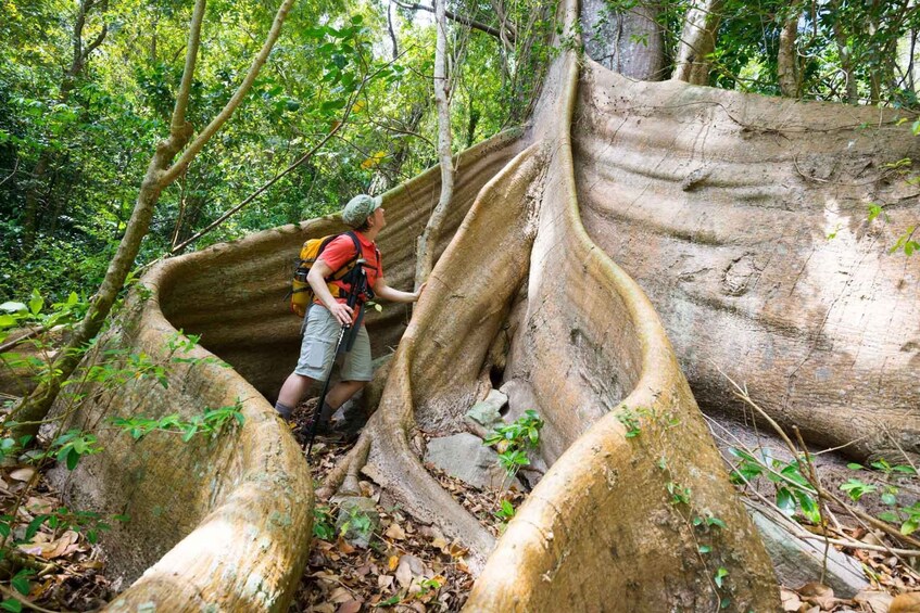 Picture 2 for Activity Dominica Hiking Adventures