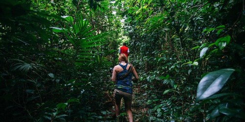 Dominica Hiking Adventures